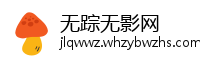 无踪无影网